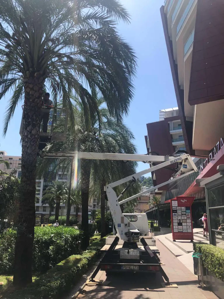 iznajmljivanje dizalice crna gora podgorica